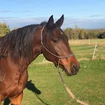 Izerska Zagroda Farm stay