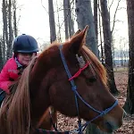 Farm stay Izerska Zagroda Swieradow-Zdroj
