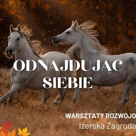 Izerska Zagroda Gospodarstwo agroturystyczne