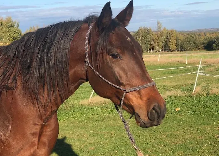 Izerska Zagroda Vakantieboerderij