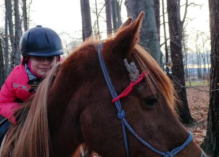 Vakantieboerderij Izerska Zagroda Świeradów-Zdrój